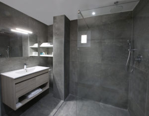 Family Room Bath + Executive Double bathroom